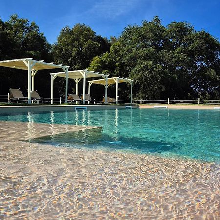 Tenuta Aronne Масса-Мариттіма Екстер'єр фото