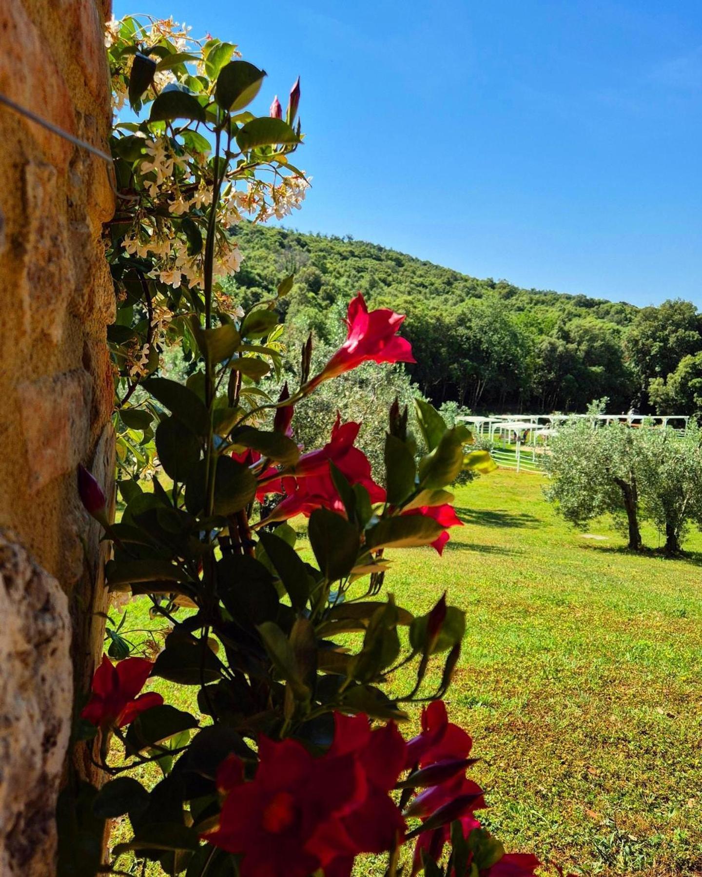 Tenuta Aronne Масса-Мариттіма Екстер'єр фото